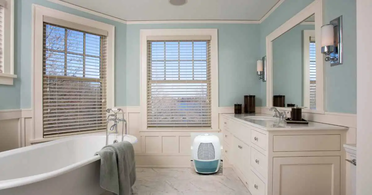 Can You Put a Dehumidifier in the Bathroom?
