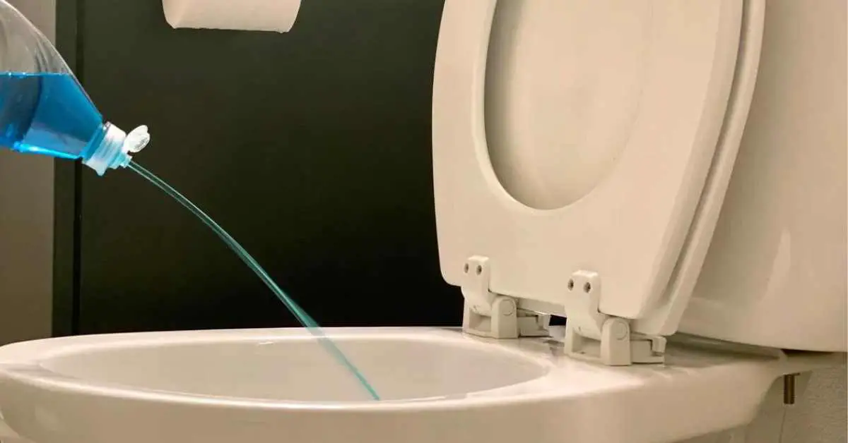 Can You Use Drain Cleaner to Unclog a Toilet?