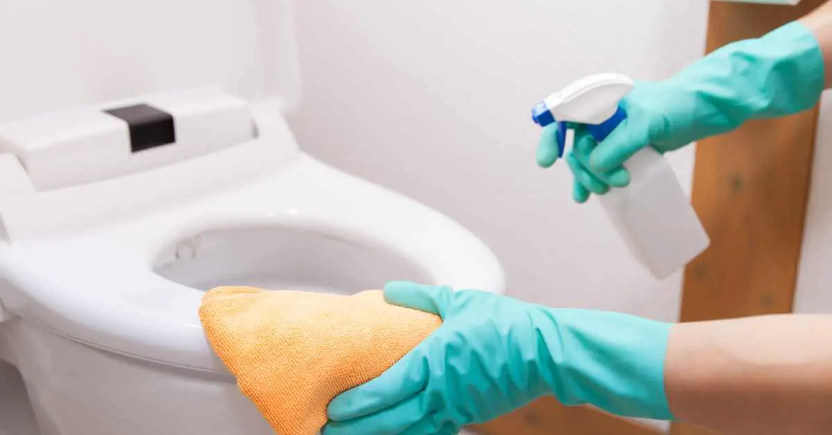 How to Remove Urine Stains From Toilet Seat?