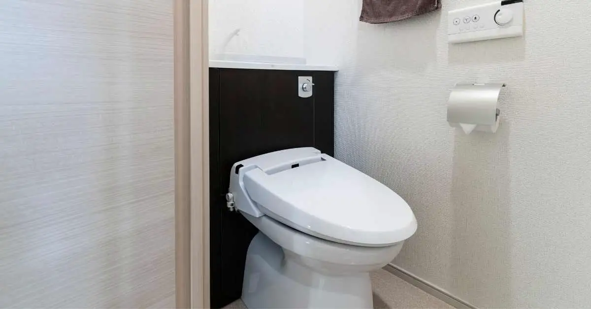 Why Do Automatic Toilets Flush Randomly?