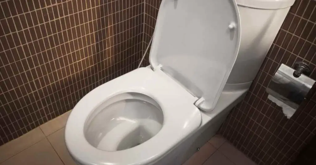 How Do I Know Which Toilet Seat Will Fit My toilet?