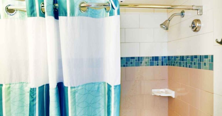 How to Remove Mold From Shower Curtain? (Explained)