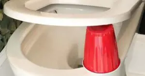 Why Put a Cup Under Toilet Seat At Night?