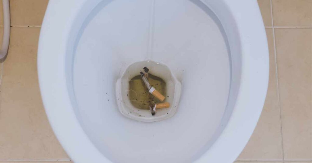 Can You Flush Cigarettes Down The Toilet? (Explained)