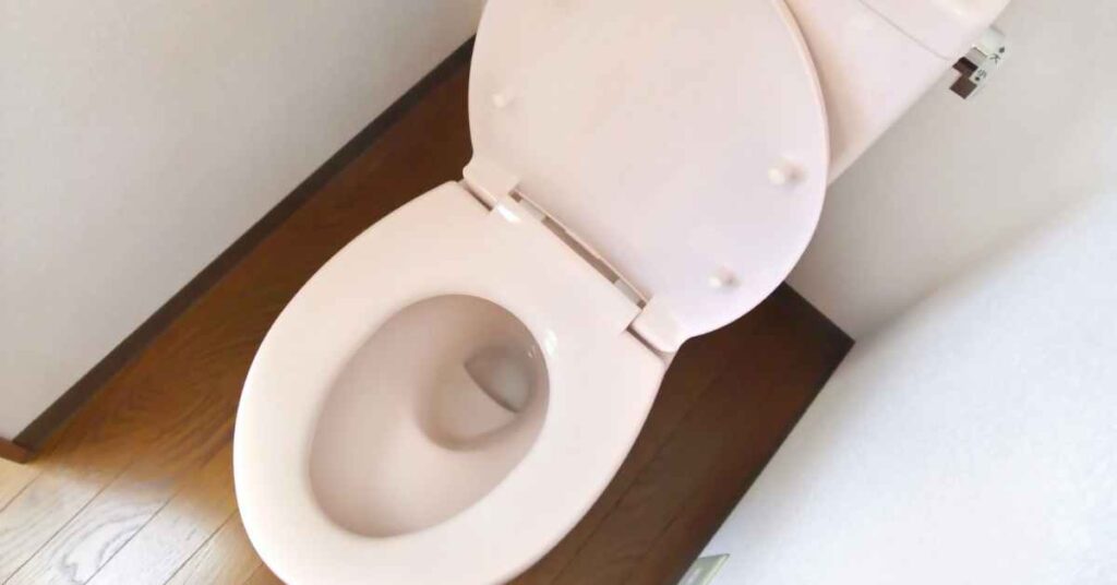 Can You Flush Hair Down The Toilet? (Explained) - Can You Flush Beard Hair Down The Toilet