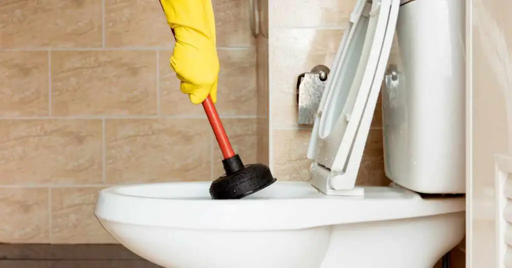 8 Reasons Why Toilet Flushes But Poop Stays (Solved)