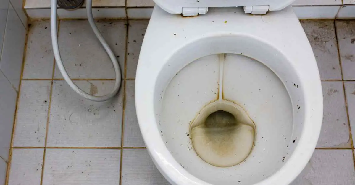 What Happens If You Don't Flush a Toilet For Months?