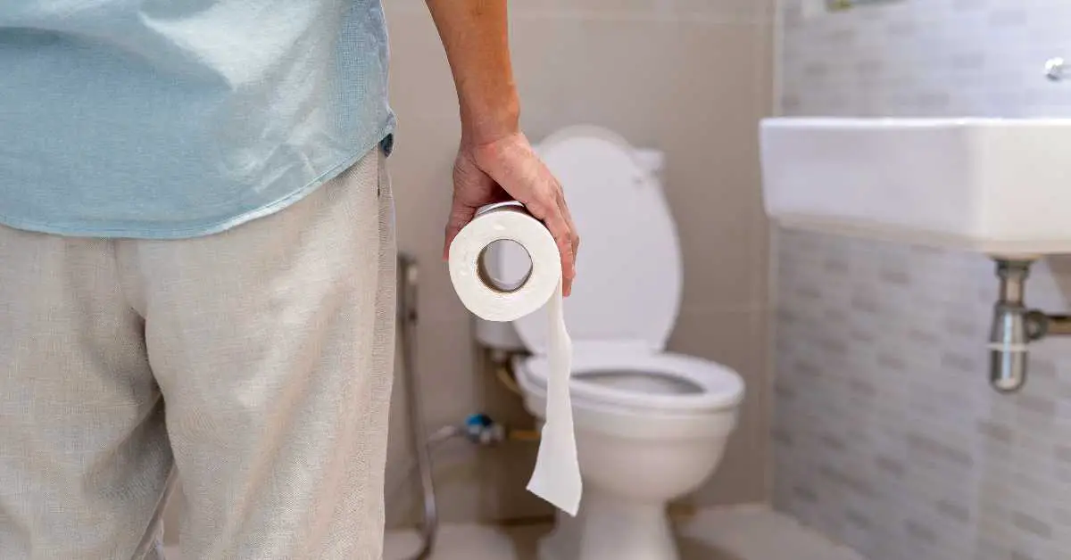 Will Toilet Paper Dissolve in Clogged Toilet?