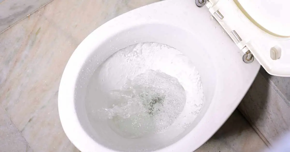 6 Reasons Why Toilet Whistles When Flushed?