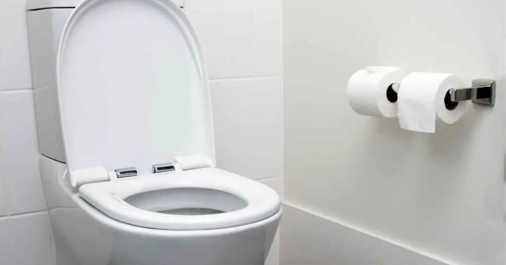 Are Pressure Assist Toilets Dangerous? (Explained)