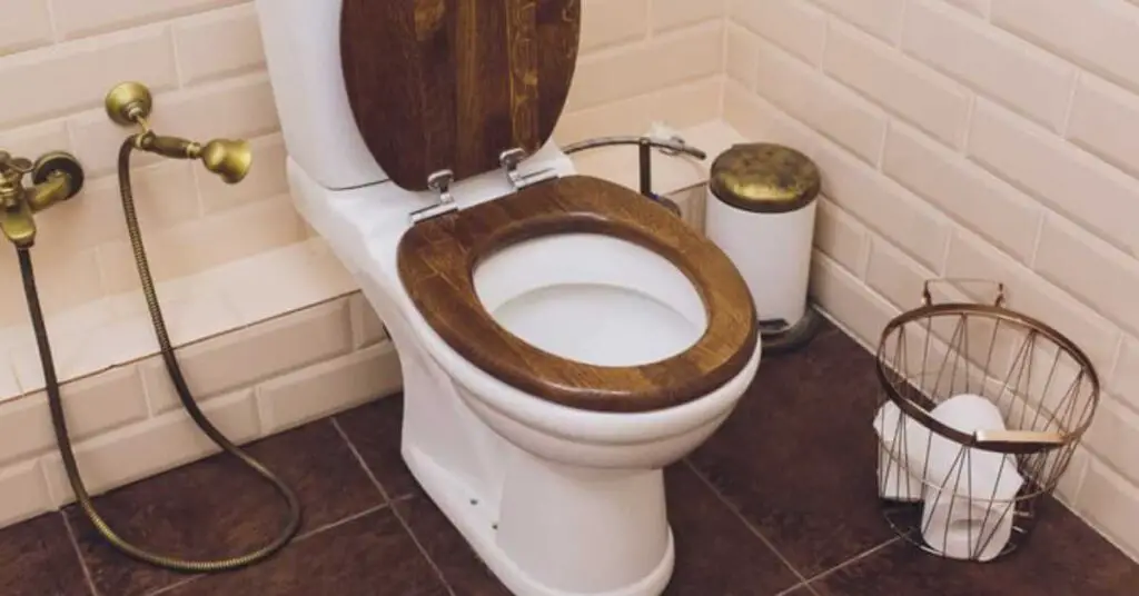Are Wooden Toilet Seats Sanitary? (Explained)