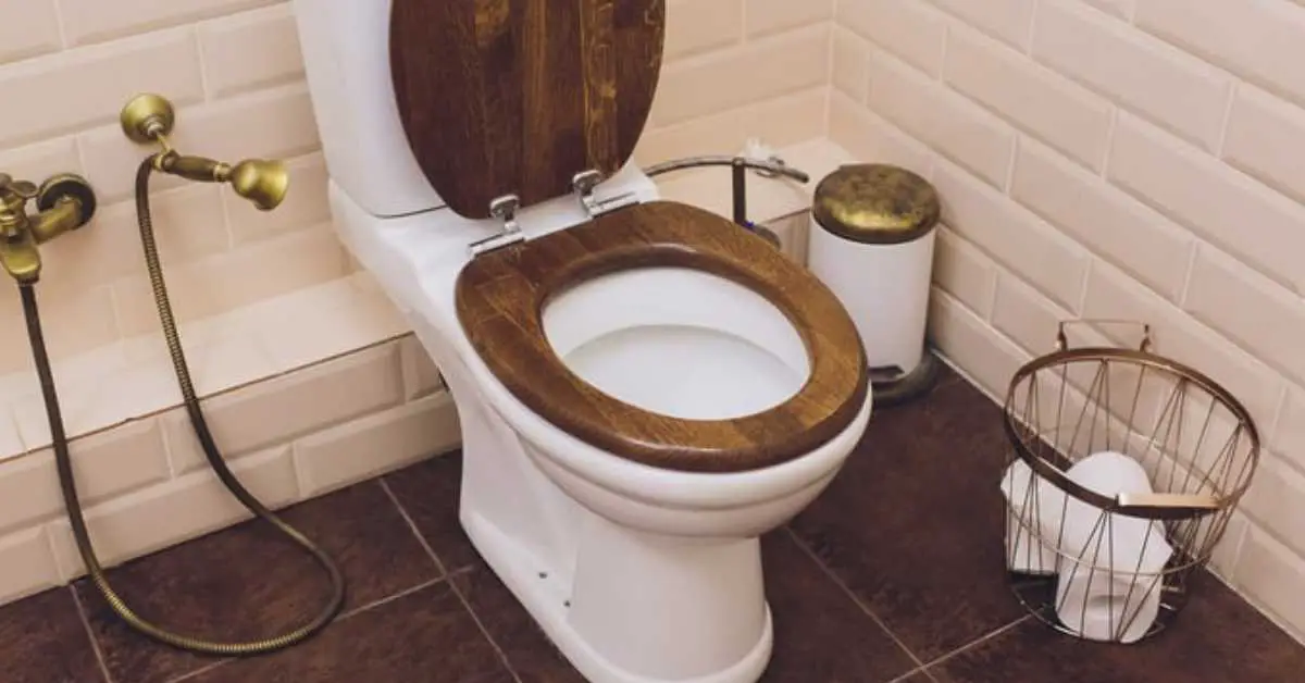 Are Wooden Toilet Seats Sanitary?