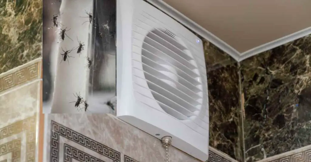 Can Mosquitoes Come Through Bathroom Exhaust Fan?