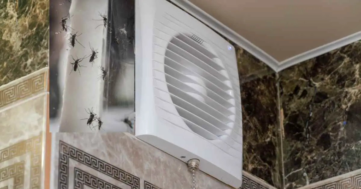 Can Mosquitoes Come Through Bathroom Exhaust Fan?
