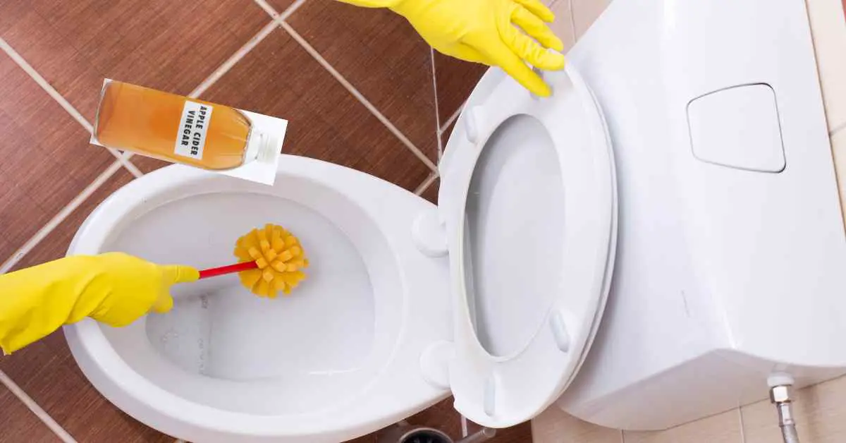 Can You Use Apple Cider Vinegar to Clean Toilet Bowl?