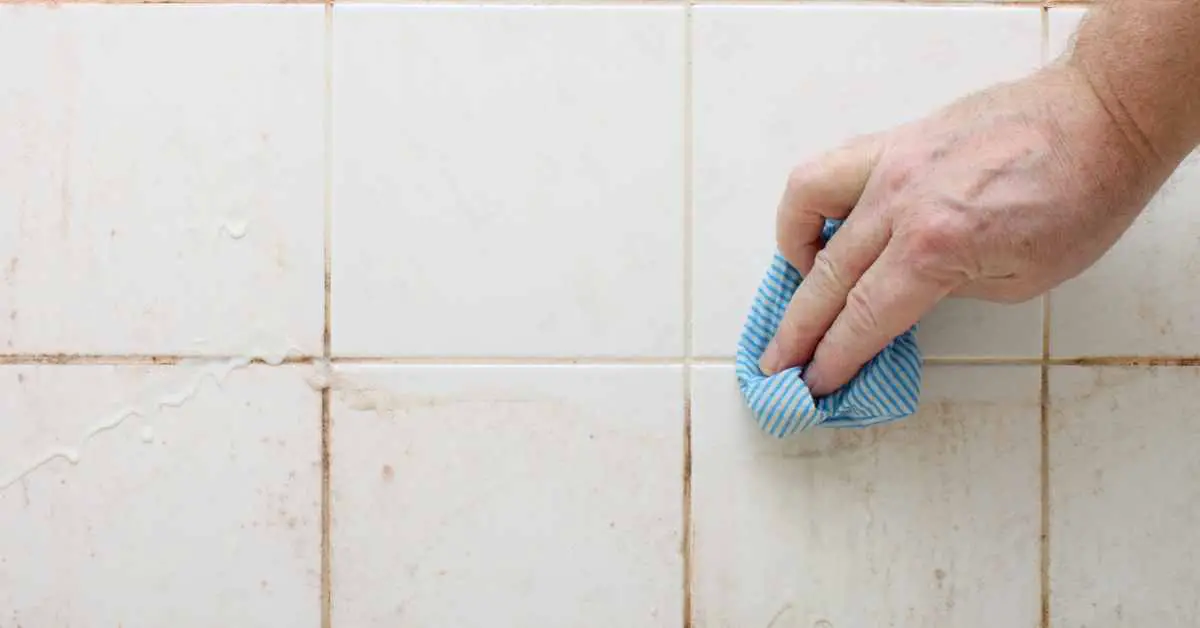 Can You Use Toilet Bowl Cleaner in The Shower?