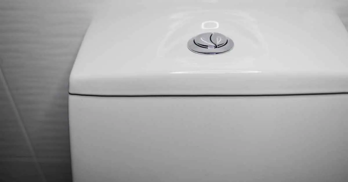 Dual Flush Toilet Problems And Solutions