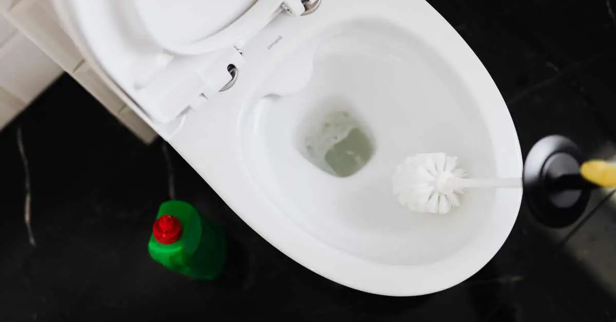 How to Use Santeen Drain Opener on Toilet?