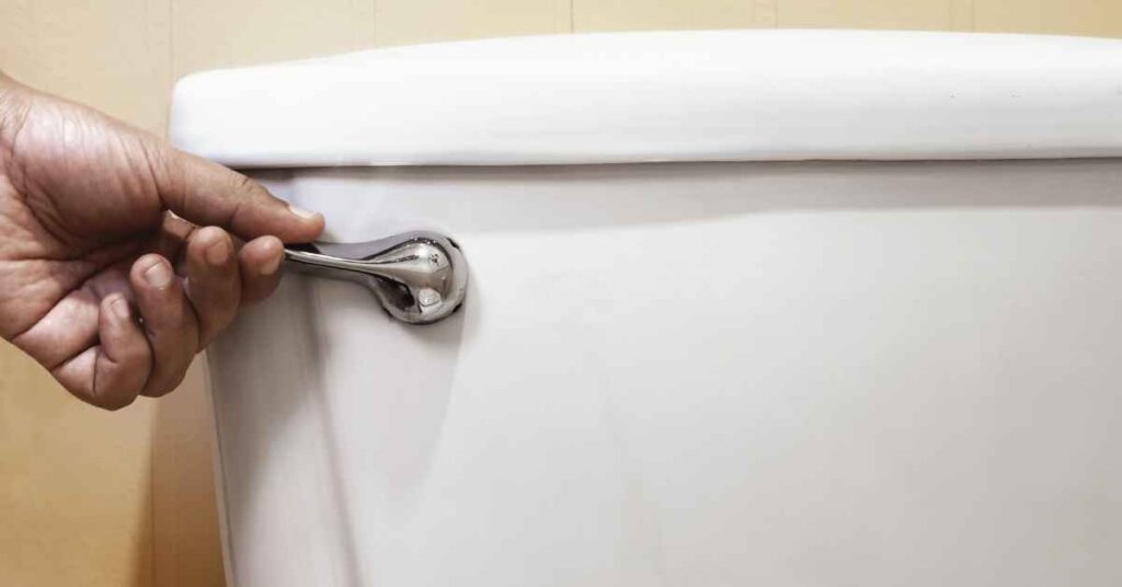 What Happens If You Flush a Toilet When The Water is Off?