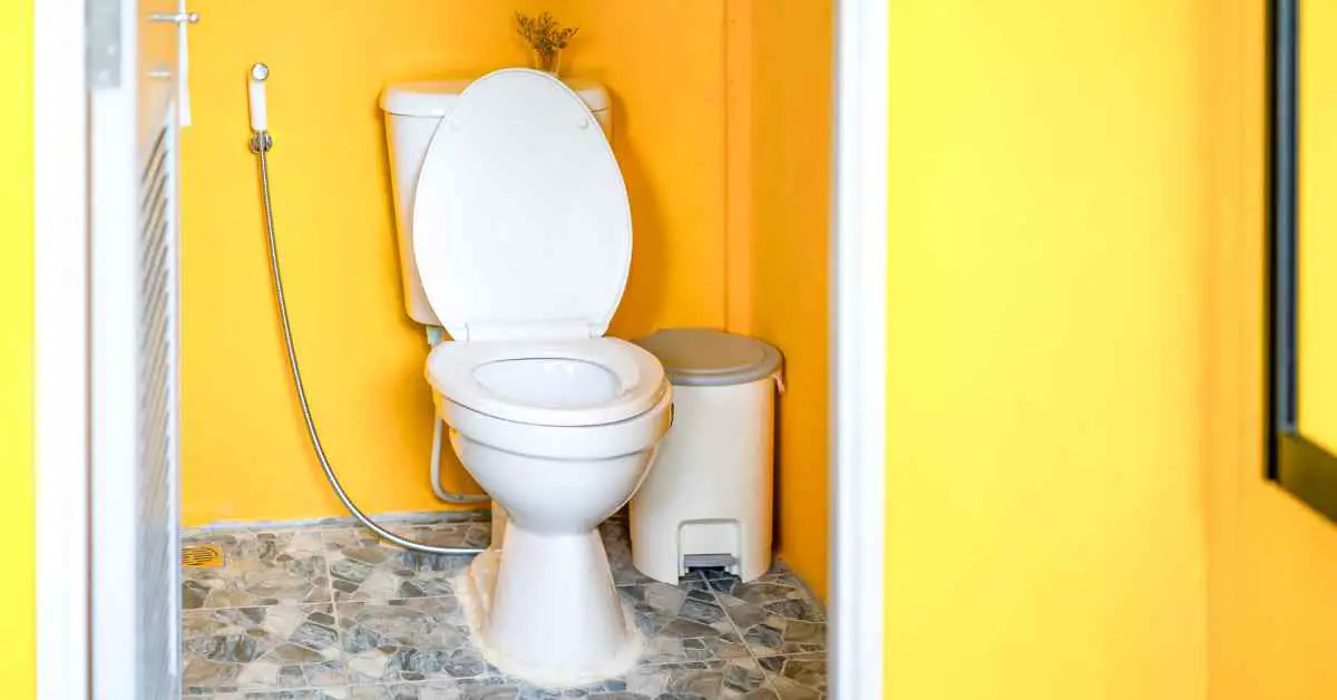Why is Urine Around Base of Toilet?