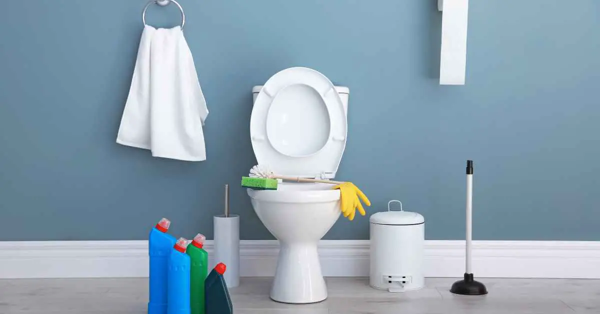 Can You Put Laundry Detergent in the Toilet Tank?