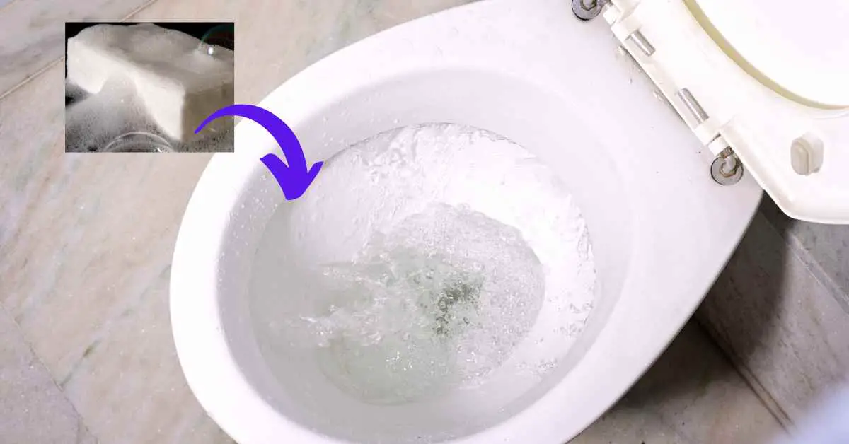 Can You Put a Bar of Soap in Toilet Tank?