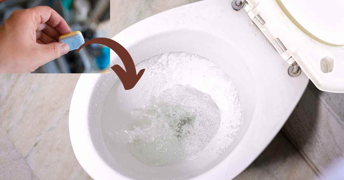 Can You Put a Dishwasher Tablet in Your Toilet Tank?