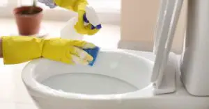 Can You Use Caustic Soda to Clean Toilet Bowl?