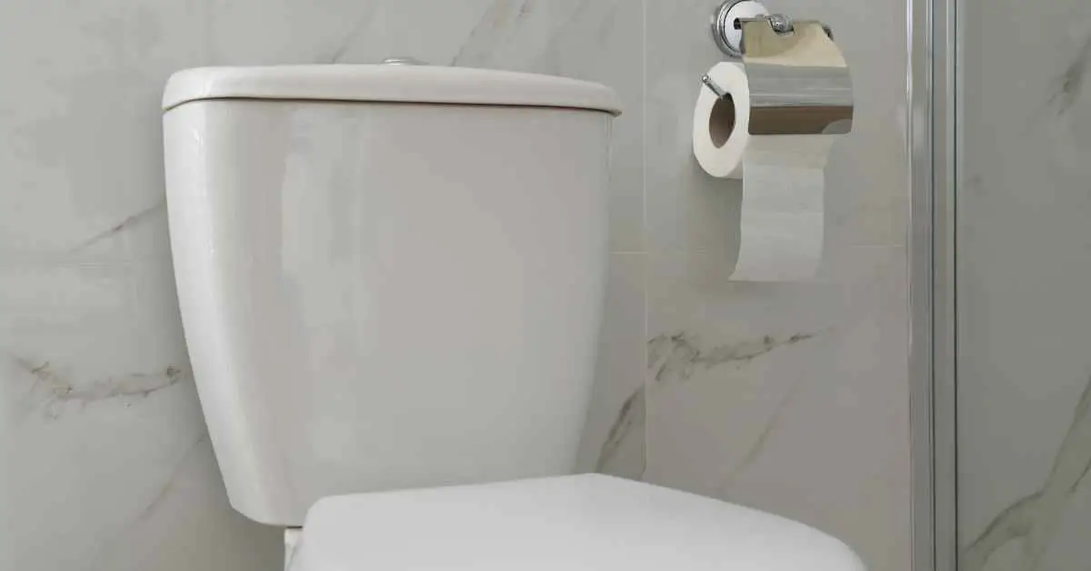 How High Should a Toilet Paper Holder Be?