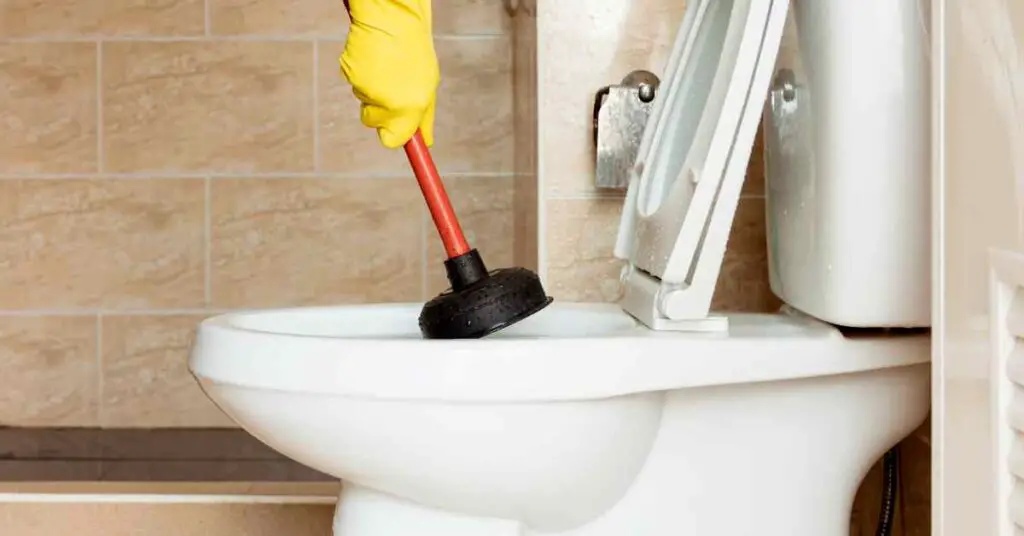 How To Flush Poop That is Too Big To Flush? (Explained)