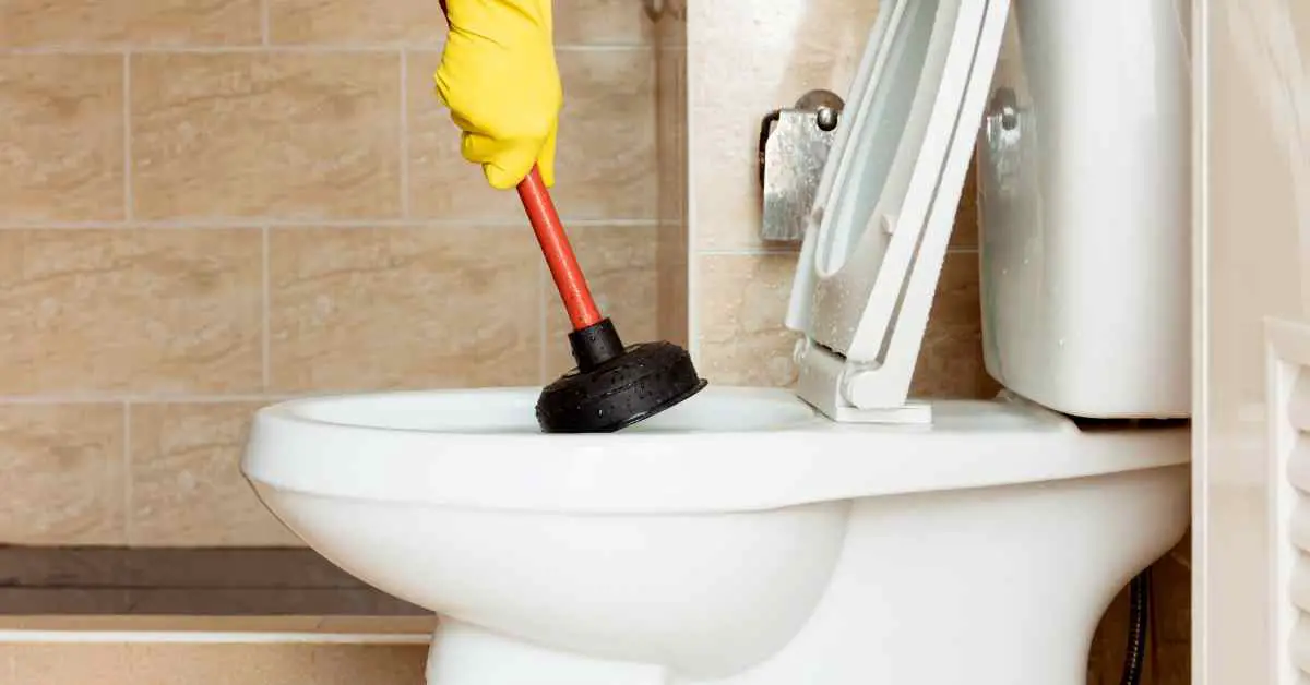 How To Flush Poop That is Too Big To Flush?