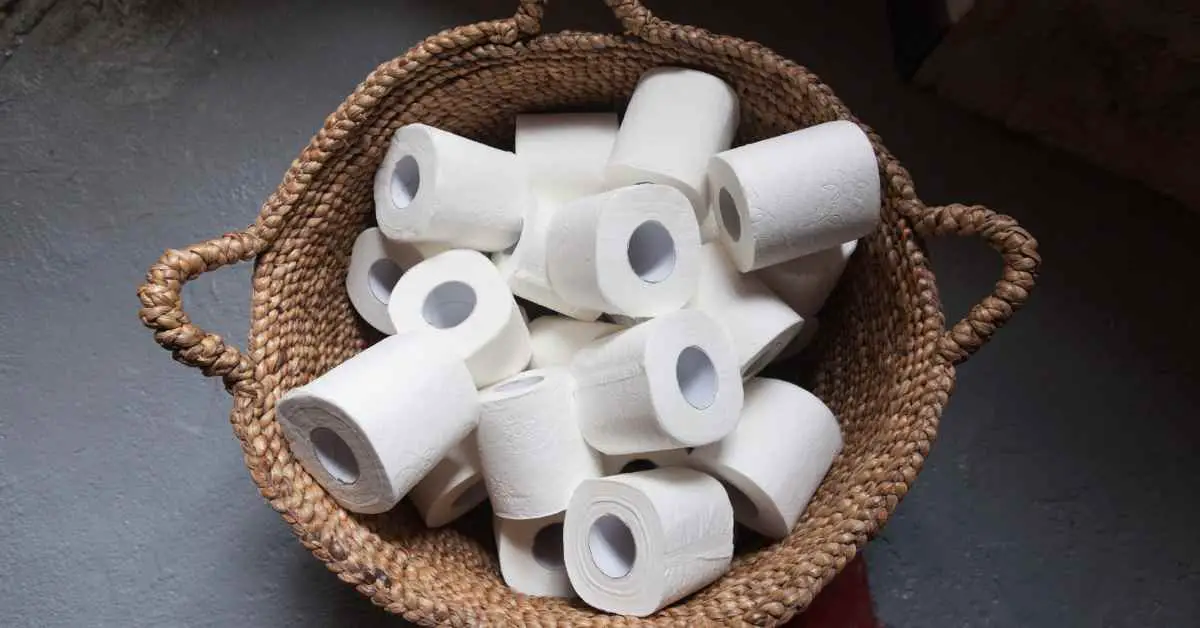 How to Get Rid of Toilet Paper Dust?