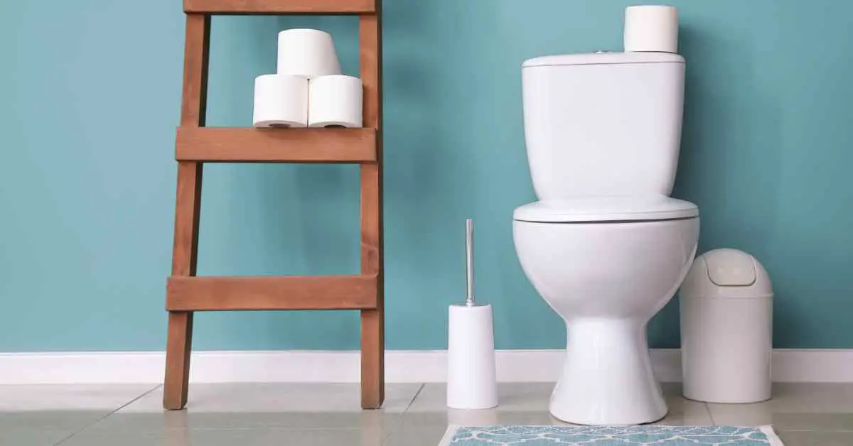 Where to Store Plunger And Toilet Brush?