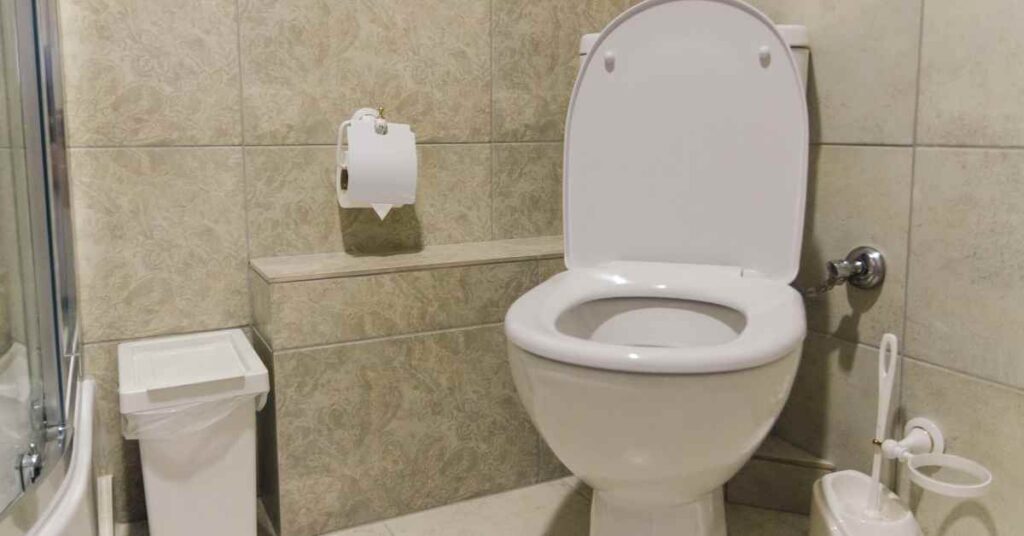 Why Are Toilets Always White? (Explained)