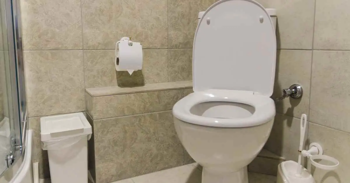 Why Are Toilets Always White?