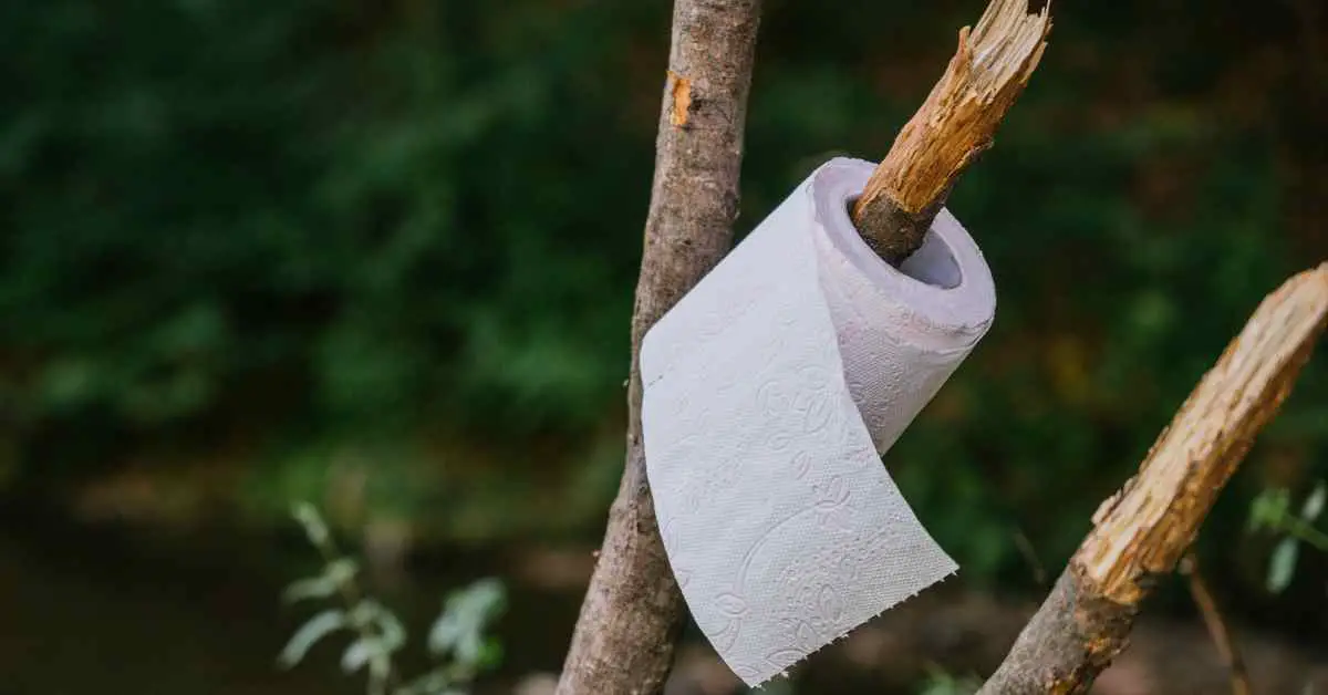 Why is Bamboo Toilet Paper So Expensive?